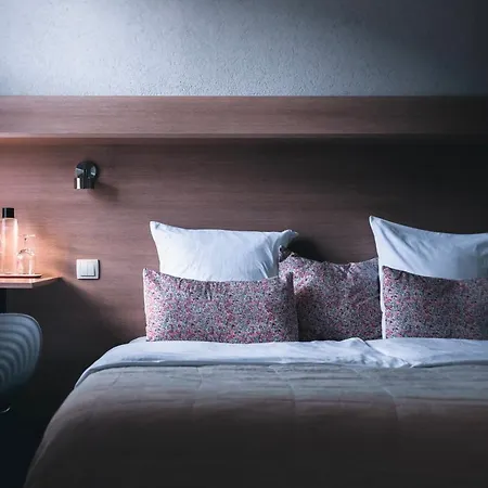 فندق Frankenbourg